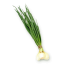 Зелёный лук