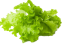 Листья салата